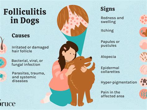 Dog Lip Ingrown Hair | Lipstutorial.org