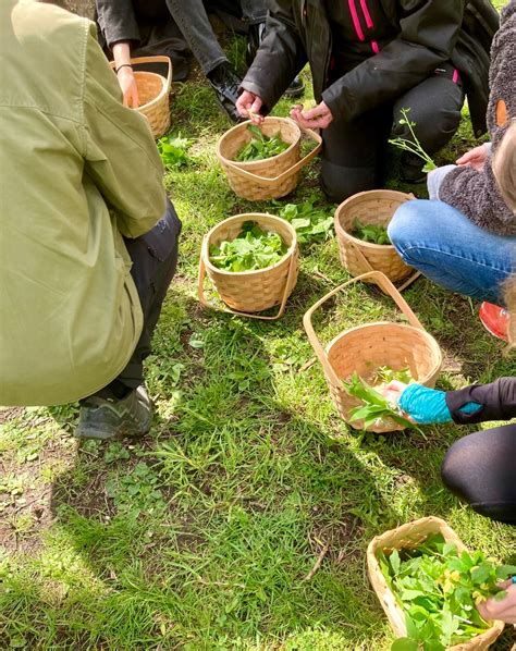 Smaka på skogen, Bokskogen i Torup, Malmö, 29 May 2025 | AllEvents