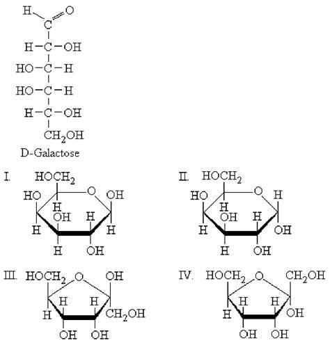 Galactose Fischer Projection