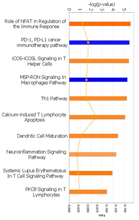 Transcriptional Profiling of a Patient-Matched Cohort of Glioblastoma ...