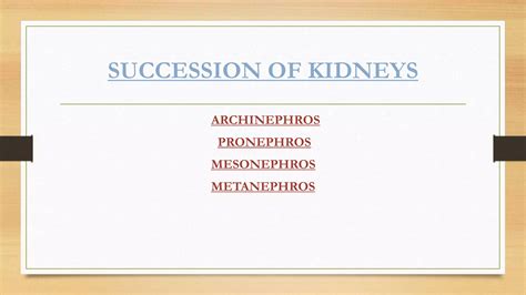 succession of kidneys in a vertebrate series | PPTX