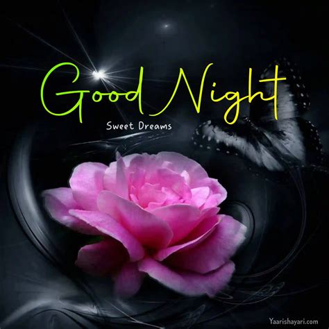 80+ Beautiful Good Night Images, Pictures & HD Photos