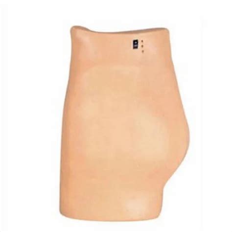 Gynecological Manikin - Gynecological Examination Model Manufacturer ...