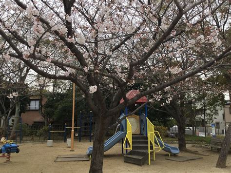 SHINKAWA KYUYO PARK (2026) All You Need to Know BEFORE You Go (with ...