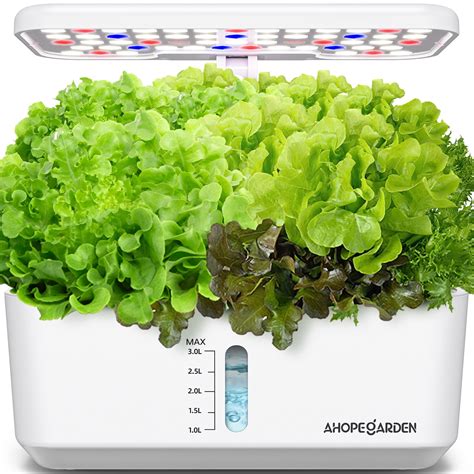 Foxnovo Seeds Germination Kit, 10-Pod Plant Germination India | Ubuy