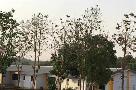 River Village Resort, Badlapur - Venue - Ambernath - Weddingwire.in