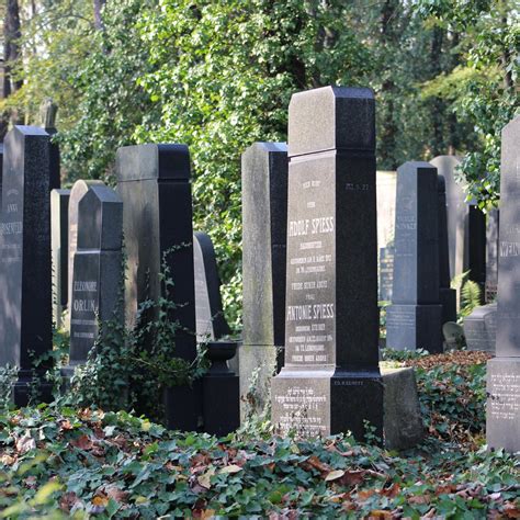 Nový židovský Hřbitov, Prague - Tripadvisor