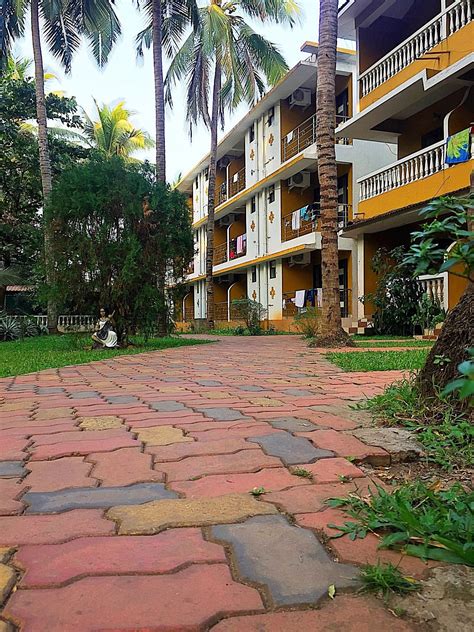 PALM RESORT (Goa/Calangute) - Hotel Reviews & Photos - Tripadvisor