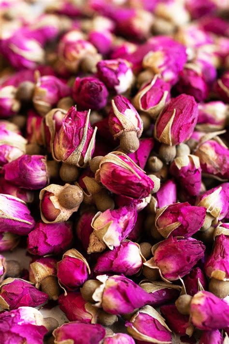 Rose Tea Benefits and How to Brew Properly - Oh, How Civilized