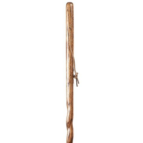 Coiled Oak Hiking Staff | Fashionable Canes