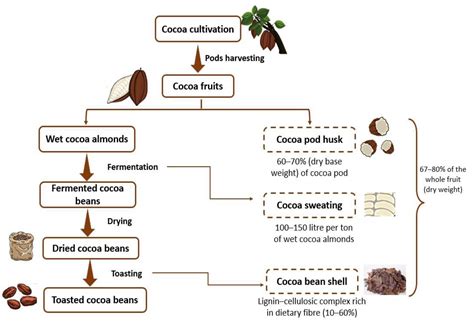 Cocoa Bean Shell: A By-Product with High Potential for Nutritional and ...