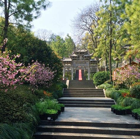 Wansong College, Hangzhou - Tripadvisor