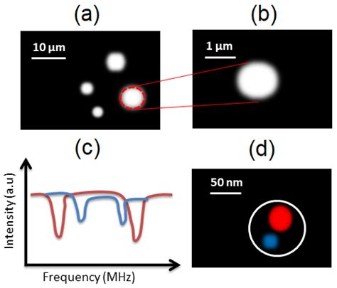 Recent Development of Fluorescent Nanodiamonds for Optical Biosensing ...