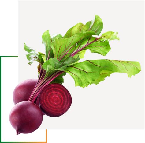 Yuvaraju Agro Impex
