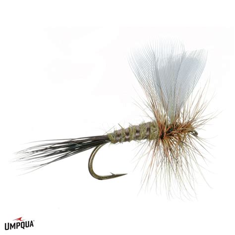 Frying Pan River Fishing Report - Crystal Fly Shop