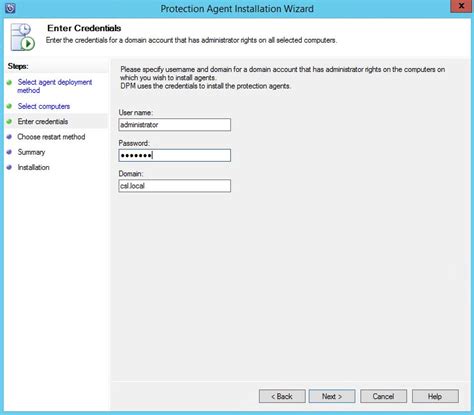 DPM Rename Protection Server 的图像结果