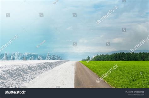 Image result for Spring Over Summer