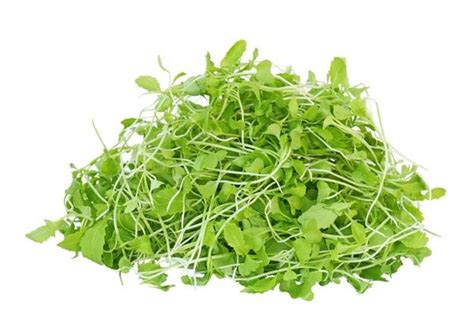 Green Mustard Microgreen – EAT.