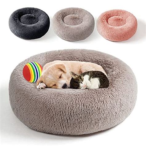 Dog Bed Mats (42-Inch, Cream) : Amazon.in: Pet Supplies