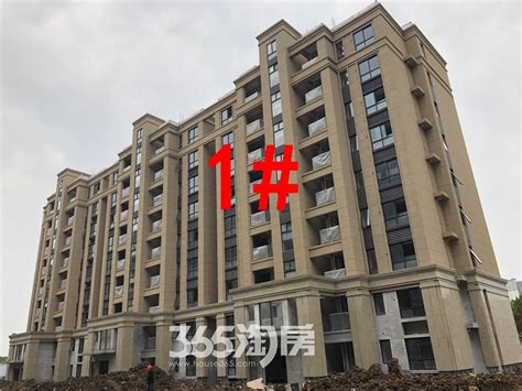 中垠紫金观邸1-3号楼住宅实景图（9.24）_南京中垠紫金观邸_南京新房网_365淘房