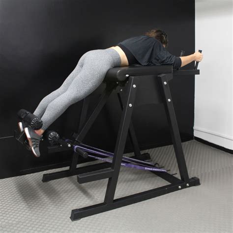 Image result for Reverse Hyper Back Machine