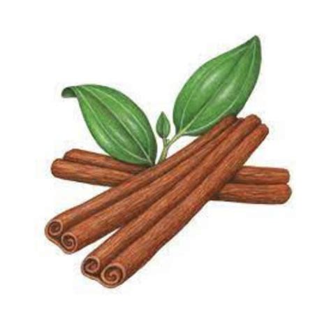 Ingredient Dalchini – Ygeia