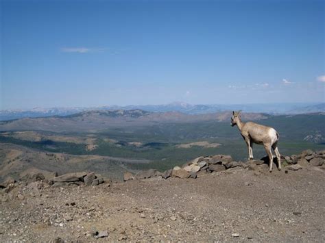 Yellowstone National Park Photos - Featured Images of Yellowstone ...