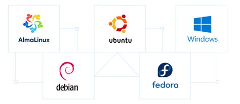 Dedicated Server India: Best Dedicated Server Hosting: 1Gbps Network