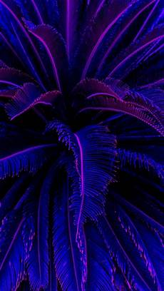 Iphone Aesthetic Wallpaper Neon by Pin By Gunn Kamonporn On Wallpaper Iphone Aesthetic Wallpaper Neon