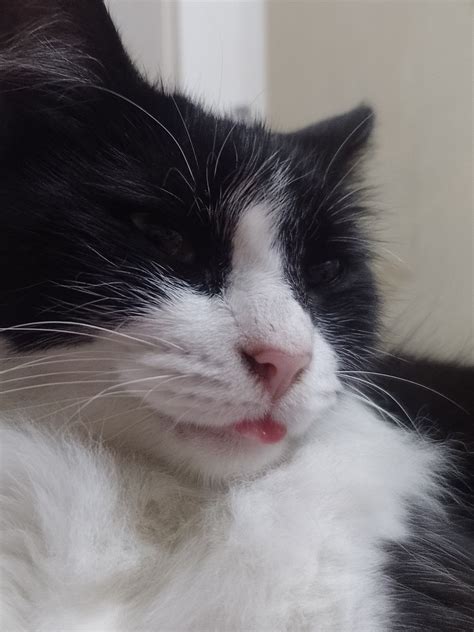 「sanegiyuu😋」おしゃれまとめの人気アイデア｜Pinterest｜Marie Salih【2025】 | かわいい イラスト 手書き ...