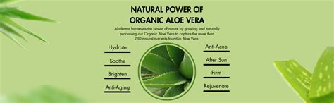 Jubilation Aloe Vera Gel - 200gm | For Face with Pure AloeVera ...