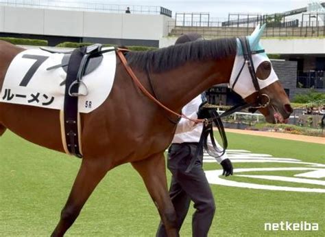 ルーメン (Lumen) | 競走馬データ - netkeiba