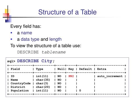 Image result for SQL Database Explanation