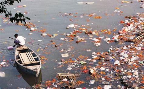 Ganga, Yamuna declared human entities: What exactly does this order ...