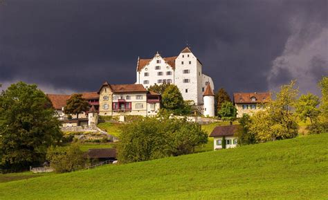 Wildegg Tourism (2024): All You Need to Know Before You Go