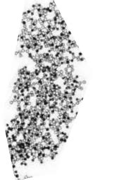 Match the following structure of haemoglobin given in the Column I with ...