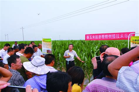 向万亩旱地要产量 - 沧州职业技术学院官方网站