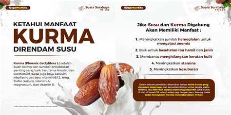 manfaat ayam direndam susu