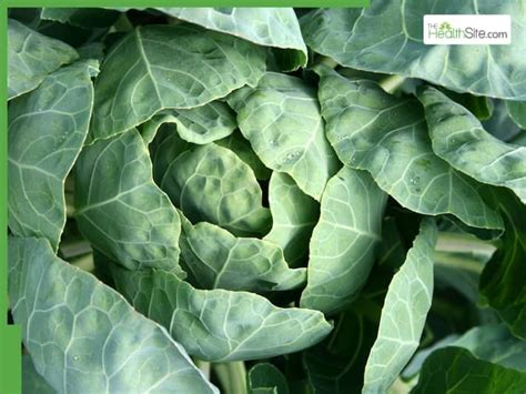 Lithium Deficiency: 6 Foods That May Help Prevent Alzheimer’s Disease ...