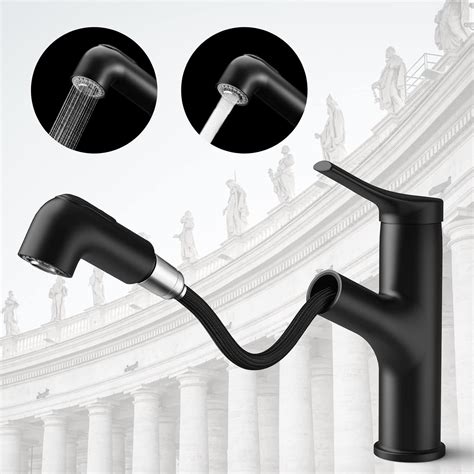 Buy Bathroom Faucet with Pull Down Sprayer - WaterSong Bathroom Sink ...