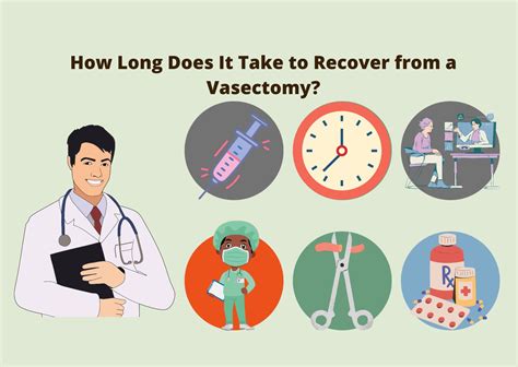 How Long Does It Take to Recover from a Vasectomy?