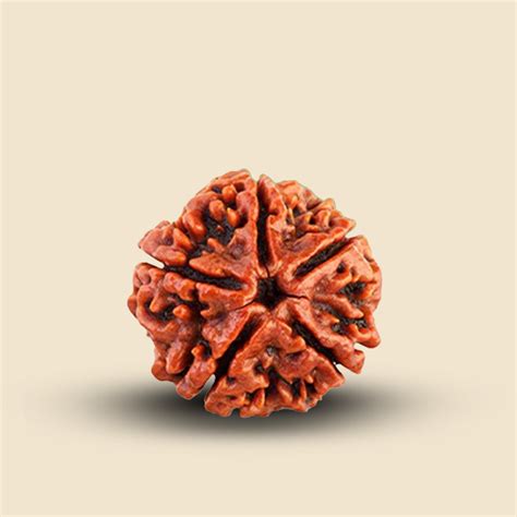 Gold Plated Rudraksha OM Shiva Trishool Necklace - Divine Jewelry ...