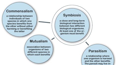 Image result for Host-Pathogen