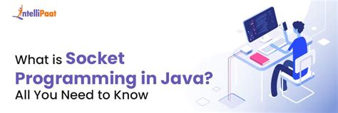 Socket in Java Programming Questions 的图像结果