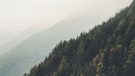 Image result for Fog Timelapse