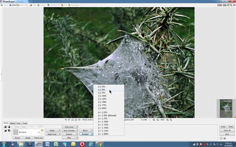 Image result for Photoscape Effects Tutorial