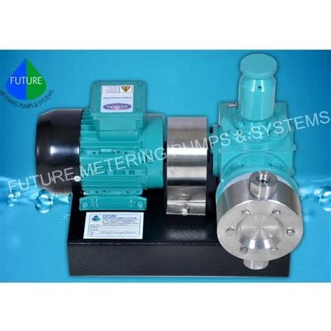 Dosing Pump - SS Diaphragm Type Dosing Pump Manufacturer from Nashik