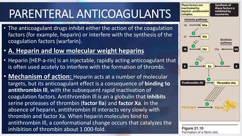 Antiplatelet anticoagulants.pptx