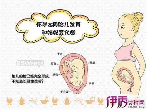 孕3月男女胎儿个性藏得深，摸清B超这几个数据，胎儿就没啥秘密了 - 百度宝宝知道