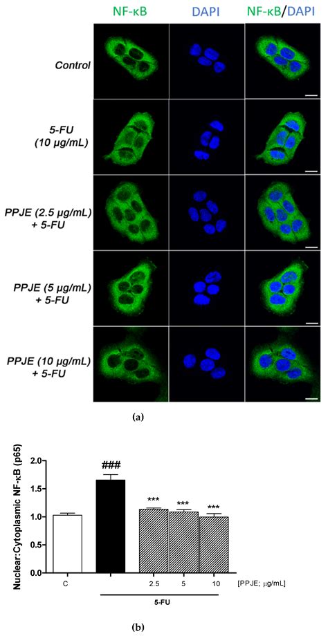 Protective Effect of Pomegranate on Oxidative Stress and Inflammatory ...